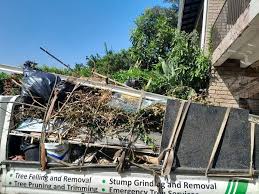 Shed Removal in Pierce City, MO